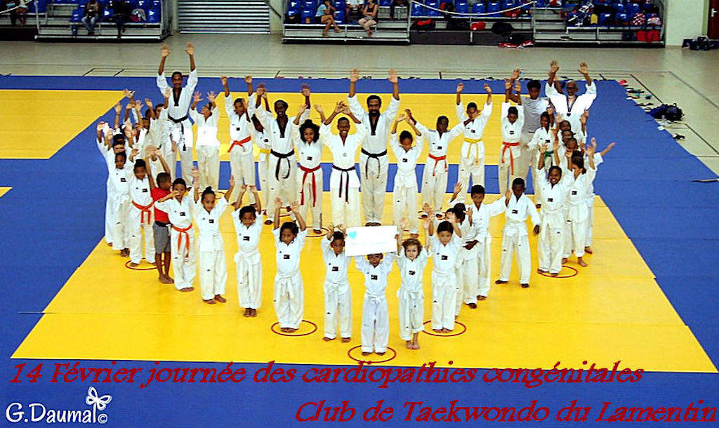 14 FÉVRIER 2018 AVEC LE CLUB DE TAEKW0NDO DU LAMANTIN EN MARTINIQUE