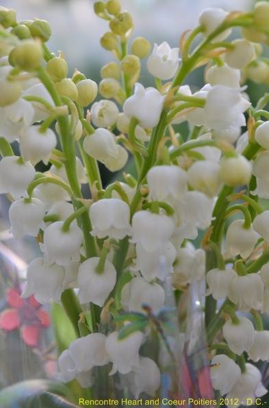 2012_mai_muguet_10.JPG