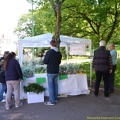 2012 mai muguet 11