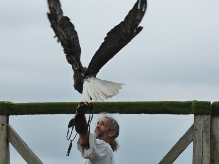 2015 mai rencontre chauvigny 0048