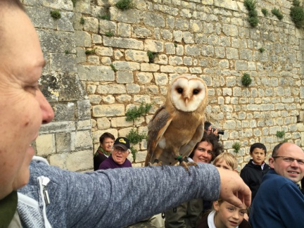 2015 mai rencontre chauvigny 109