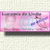 logo lindia