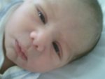 thumb_yahia2012011412.jpg