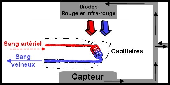 Shema diodes