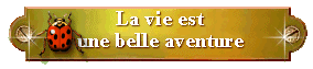 La vie est une belle aventure