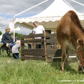 2004 mai defi nature 32