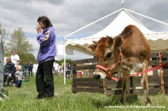 2004 mai defi nature 33