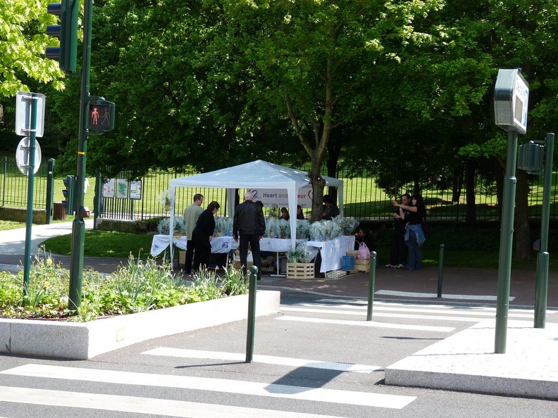 2009_avril_muguet_3.JPG