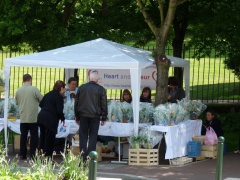 2009 avril muguet 4