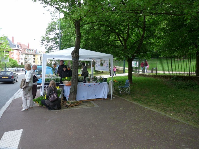 2010_mai_1_muguet_4.JPG