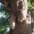 2011 juillet parc monceau sandrine family 43