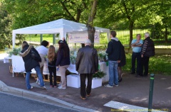 2012 mai muguet 12