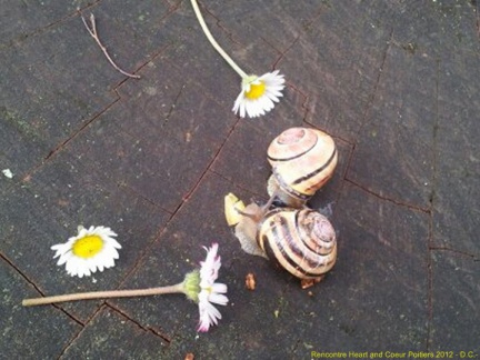 2012 mai rencontre hac chry 014