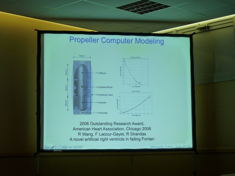 2013_juin_11_12_congres_fallot_marseille_52.JPG