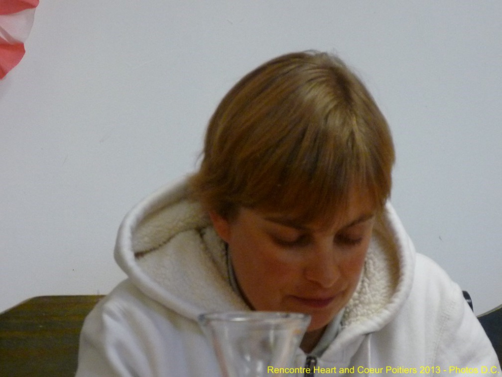 2013 mai 11 rencontre hac poitiers 057