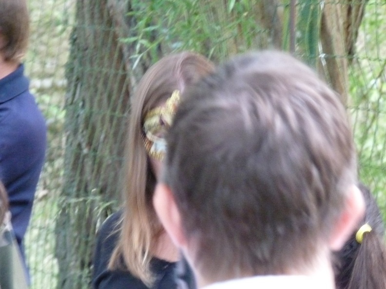 2014_mai_29_rencontre_meuse_chr_165.JPG