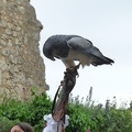 2015 mai rencontre chauvigny 0021