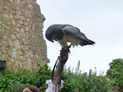 2015 mai rencontre chauvigny 0021