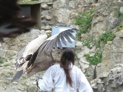 2015 mai rencontre chauvigny 0025