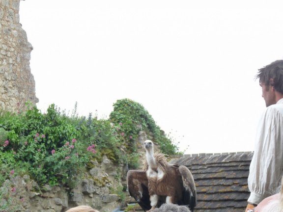 2015 mai rencontre chauvigny 0027