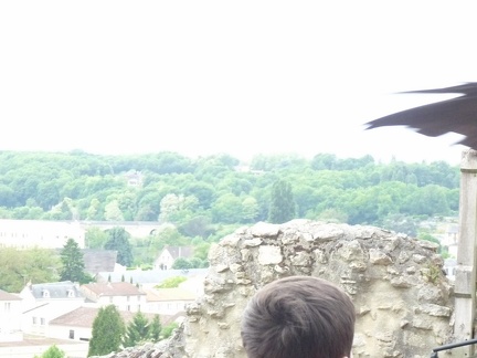 2015 mai rencontre chauvigny 0029