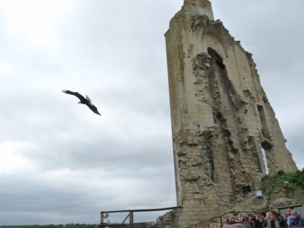 2015 mai rencontre chauvigny 0046