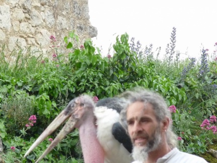 2015 mai rencontre chauvigny 0054