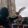 2015 mai rencontre chauvigny 014