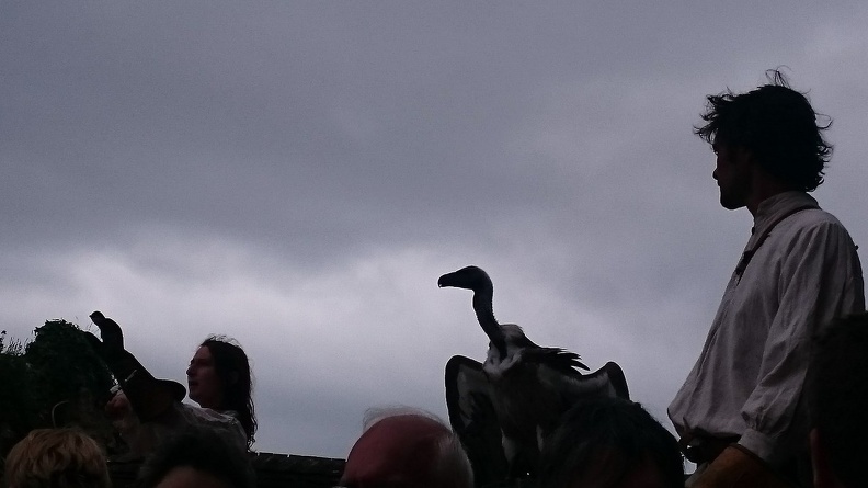 2015_mai_rencontre_chauvigny_018.JPG