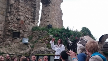 2015 mai rencontre chauvigny 022