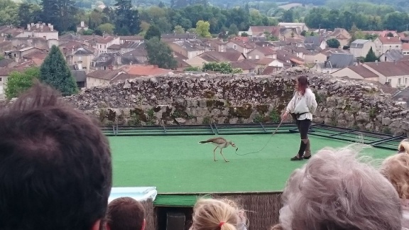 2015 mai rencontre chauvigny 024