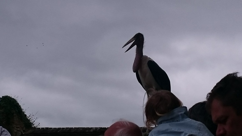 2015_mai_rencontre_chauvigny_027.JPG