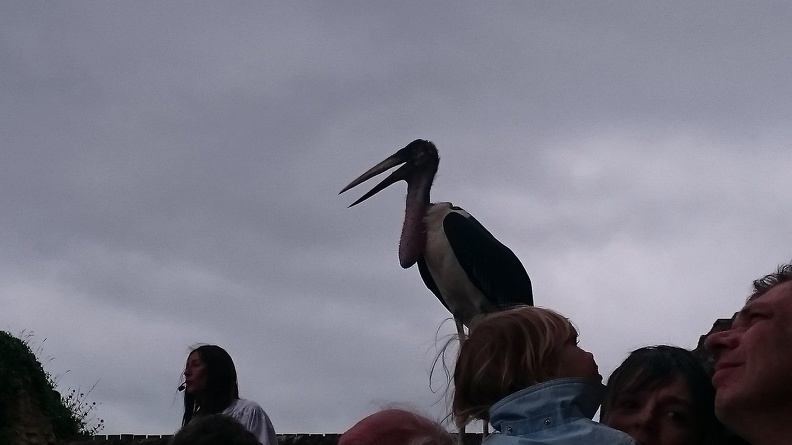 2015_mai_rencontre_chauvigny_028.JPG