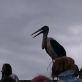 2015 mai rencontre chauvigny 028