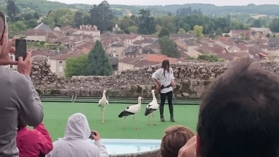 2015 mai rencontre chauvigny 036