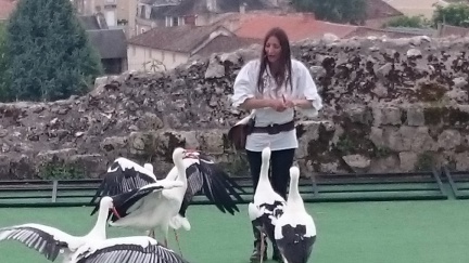2015 mai rencontre chauvigny 037