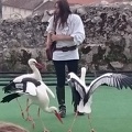 2015 mai rencontre chauvigny 038