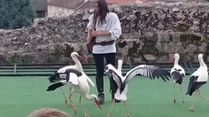2015 mai rencontre chauvigny 038