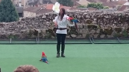 2015 mai rencontre chauvigny 051