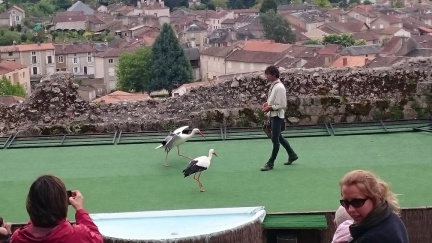 2015 mai rencontre chauvigny 052