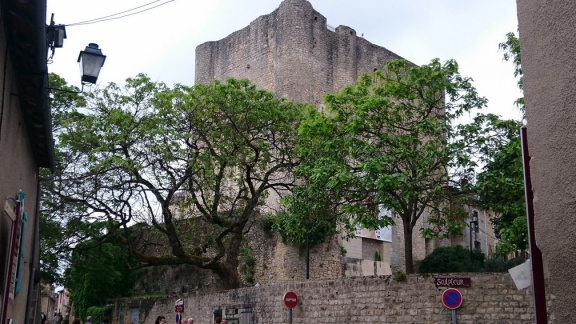2015 mai rencontre chauvigny 068