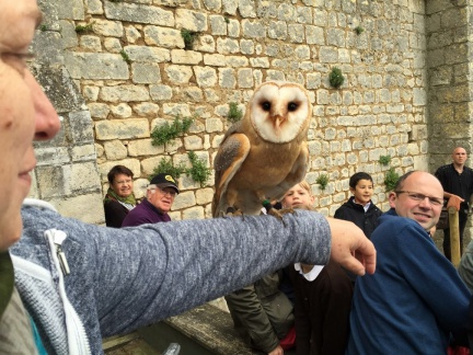 2015 mai rencontre chauvigny 101