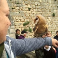 2015 mai rencontre chauvigny 102