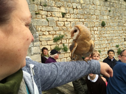 2015 mai rencontre chauvigny 102