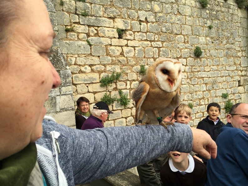 2015 mai rencontre chauvigny 103