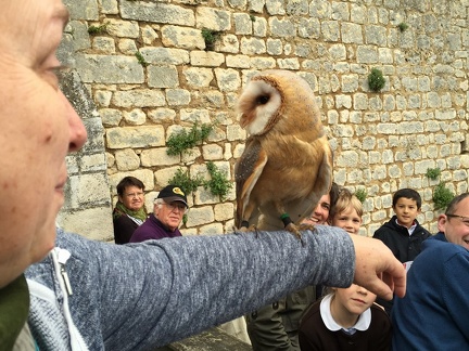 2015 mai rencontre chauvigny 105
