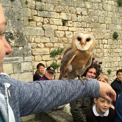 2015 mai rencontre chauvigny