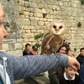 2015 mai rencontre chauvigny 108