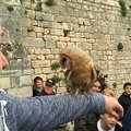 2015 mai rencontre chauvigny 110