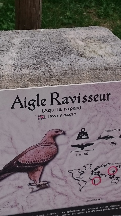 2015 mai rencontre chauvigny v 11